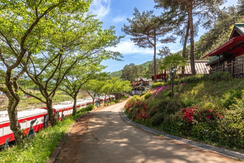 꽃이 핀 진입로